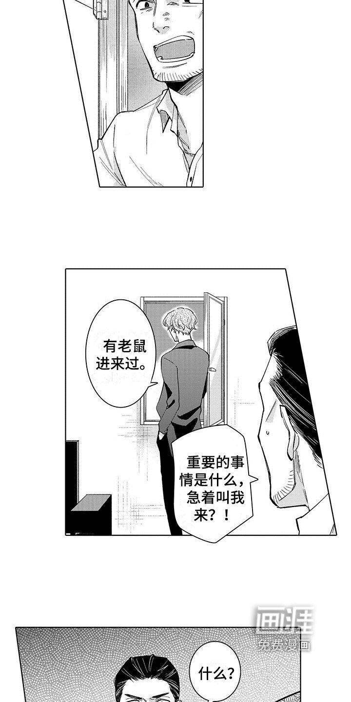 第13章：伤口