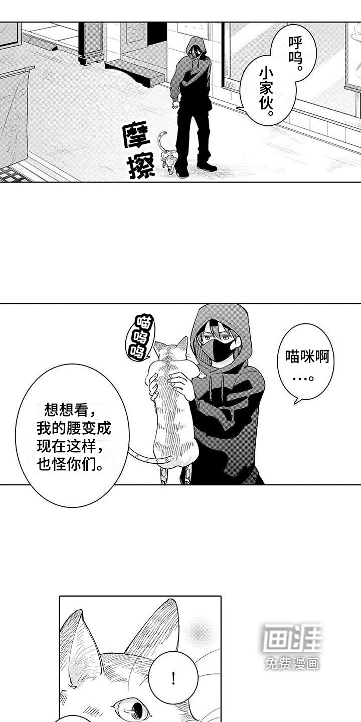 第15章：纹章