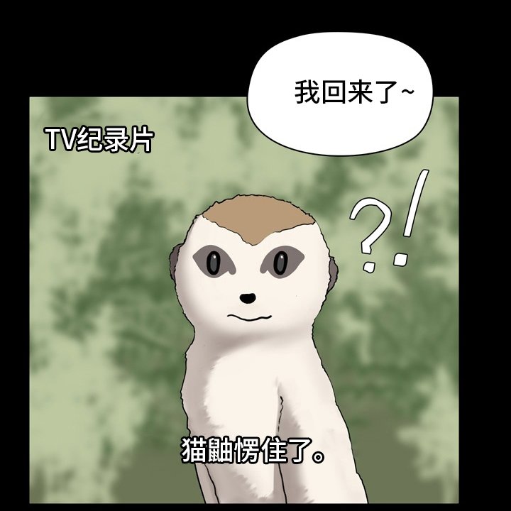 第22章：工作
