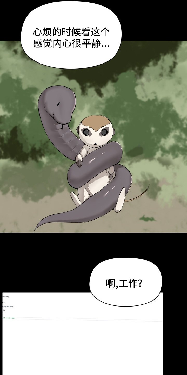 第22章：工作