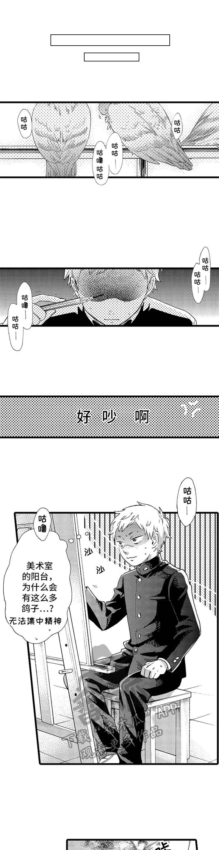 第13章： 鸽子