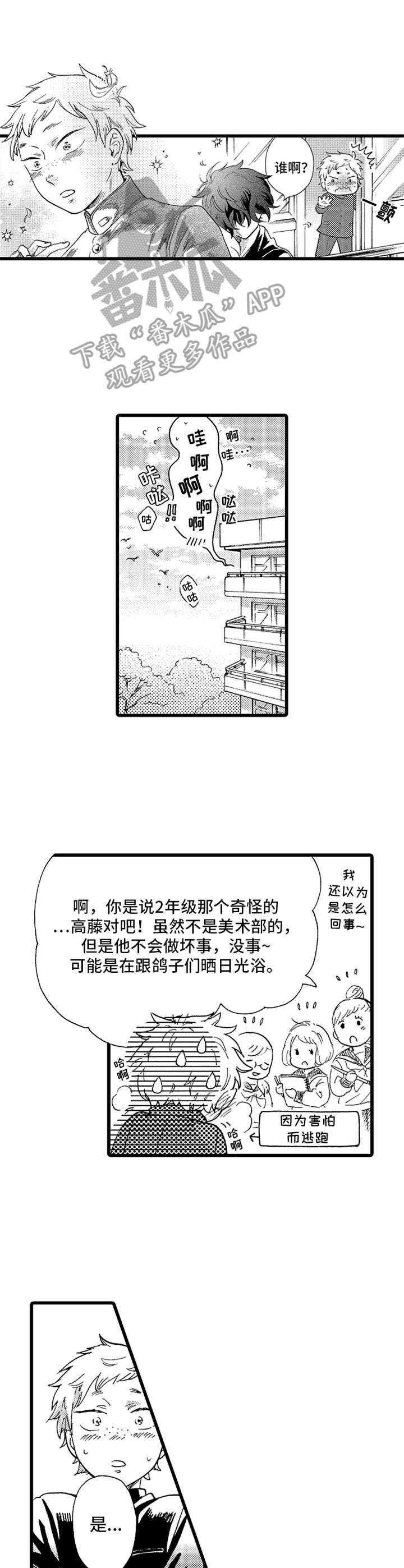 第13章： 鸽子