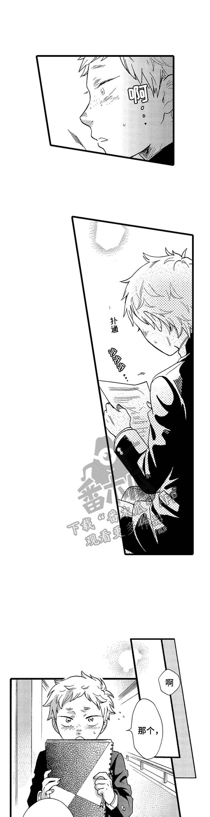 第13章： 鸽子
