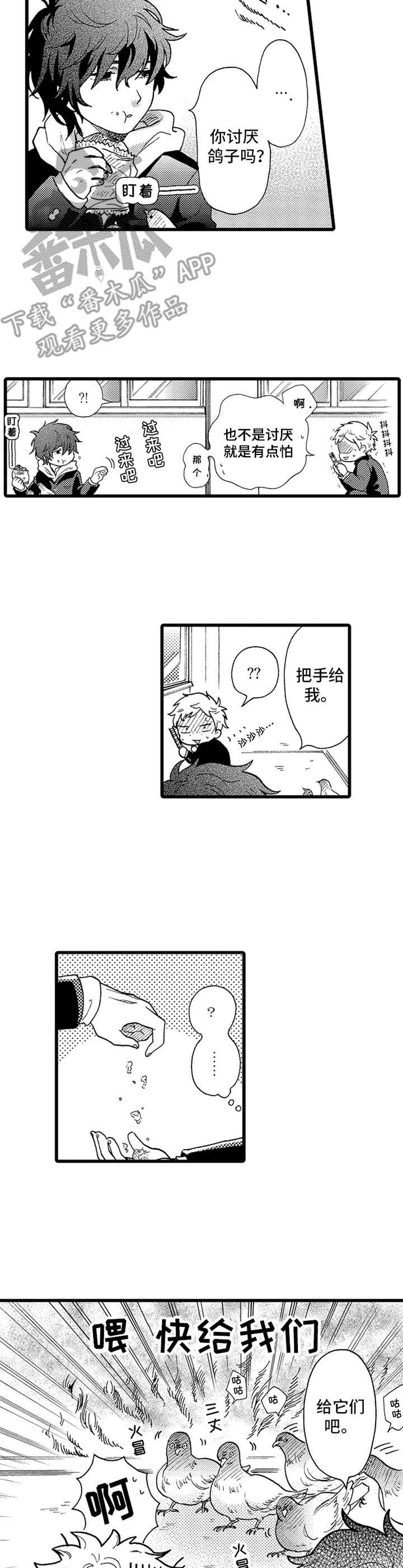 第13章： 鸽子