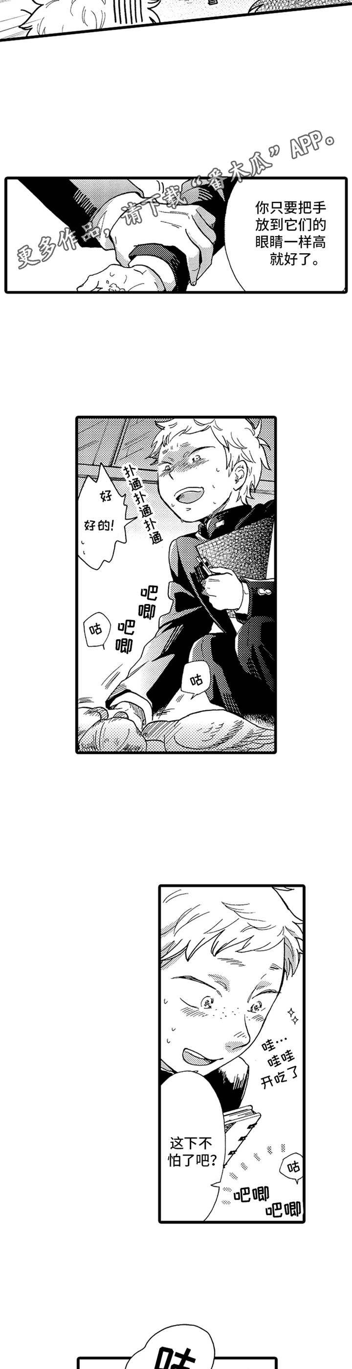 第13章： 鸽子