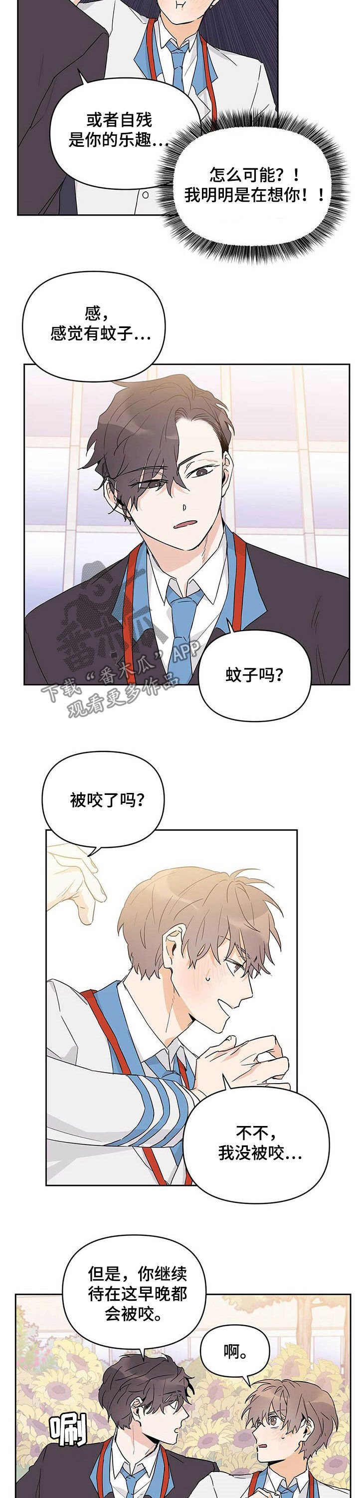 第29章：有蚊子