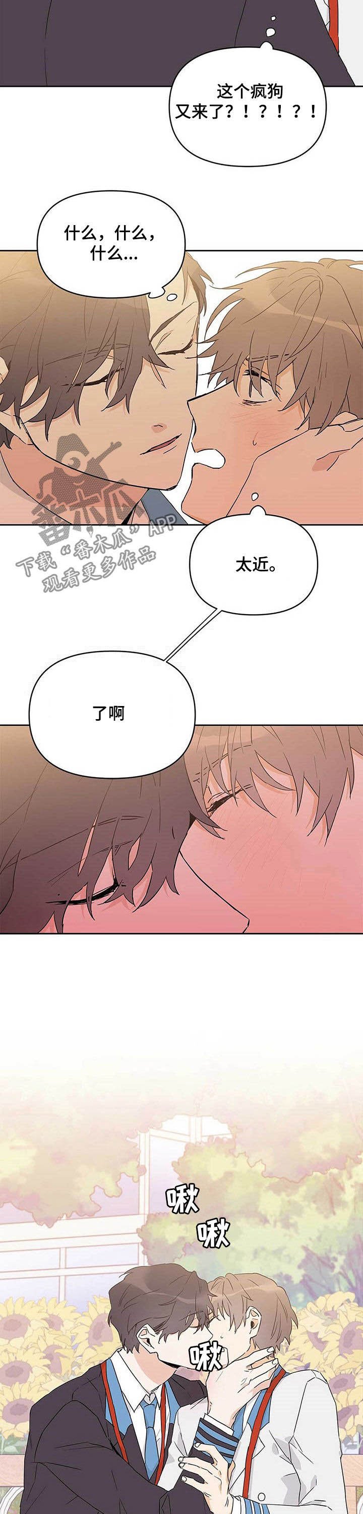 第29章：有蚊子
