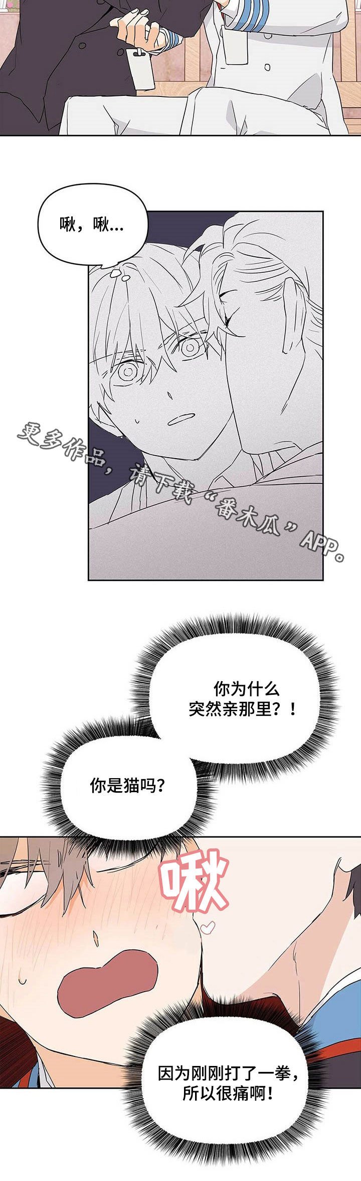 第29章：有蚊子