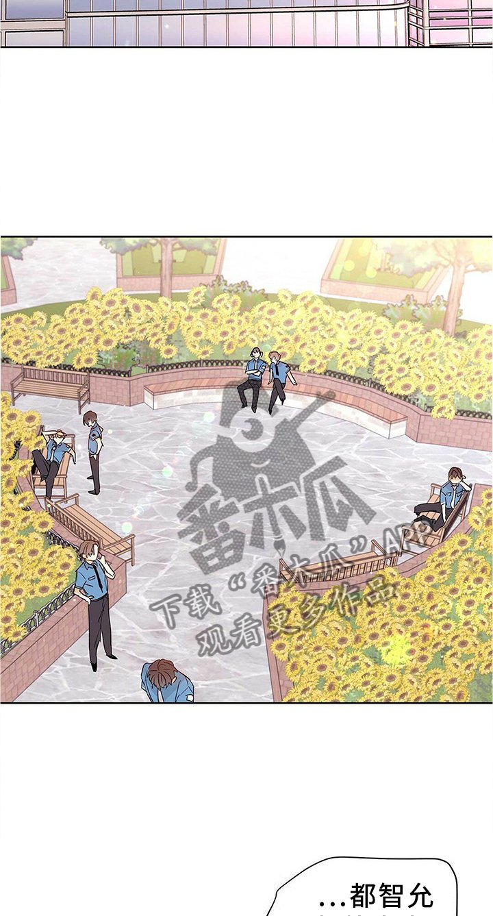 第48章：恋爱