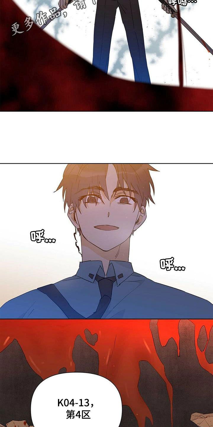 第51章：八卦