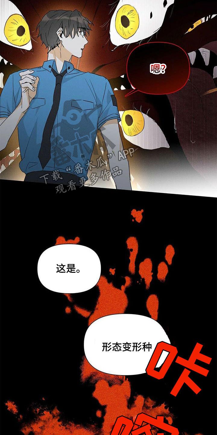 第51章：八卦