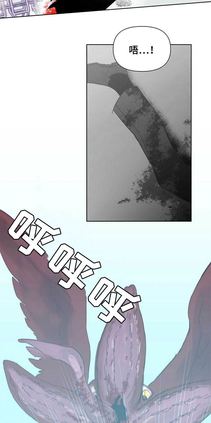 第52章：变形种