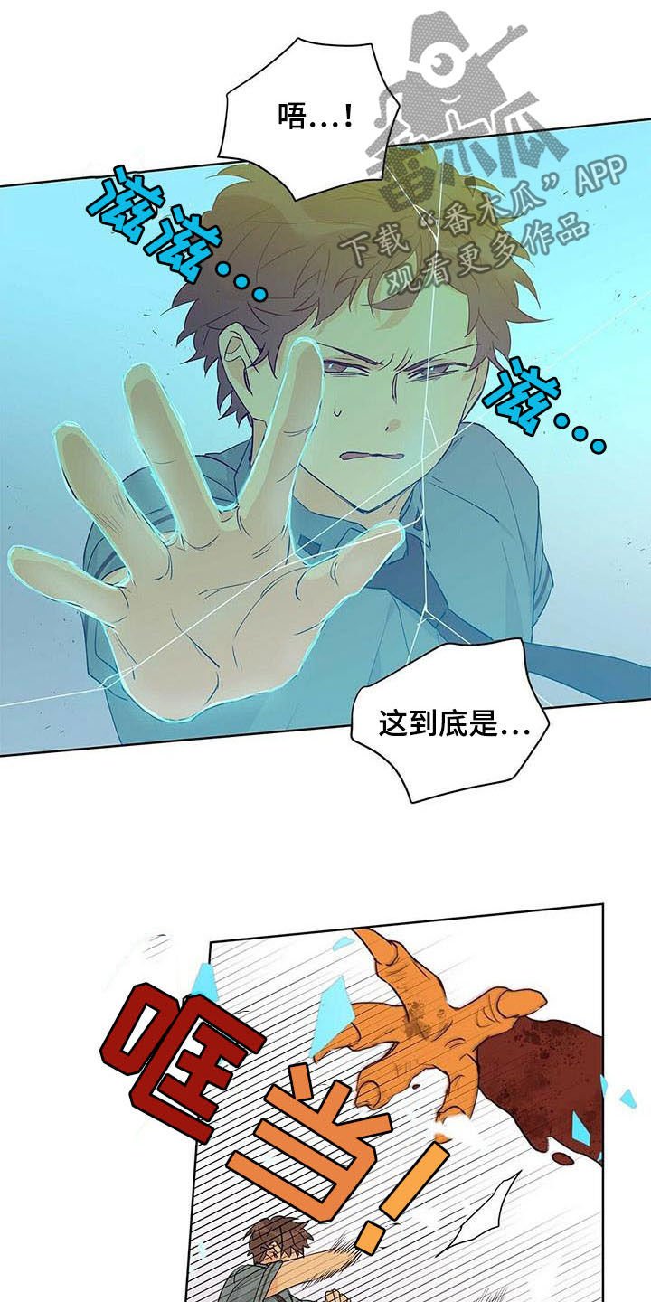 第52章：变形种