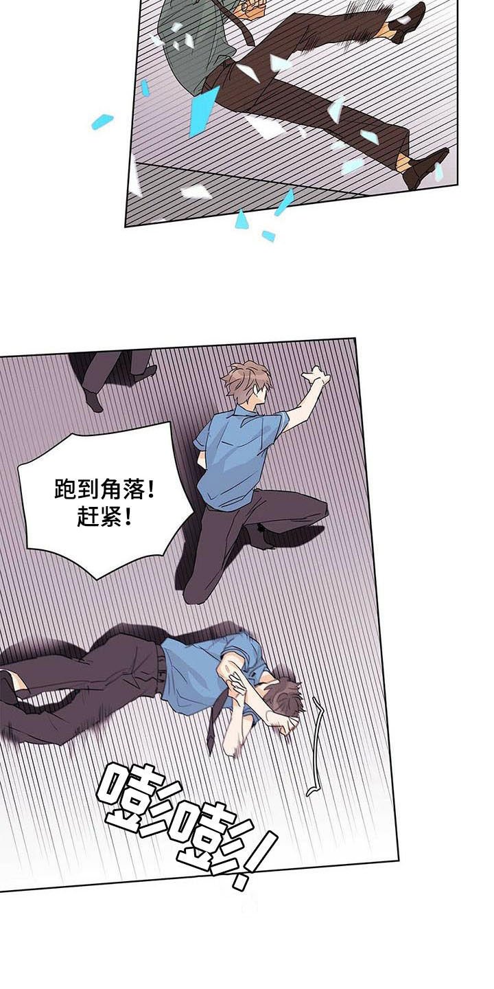 第52章：变形种