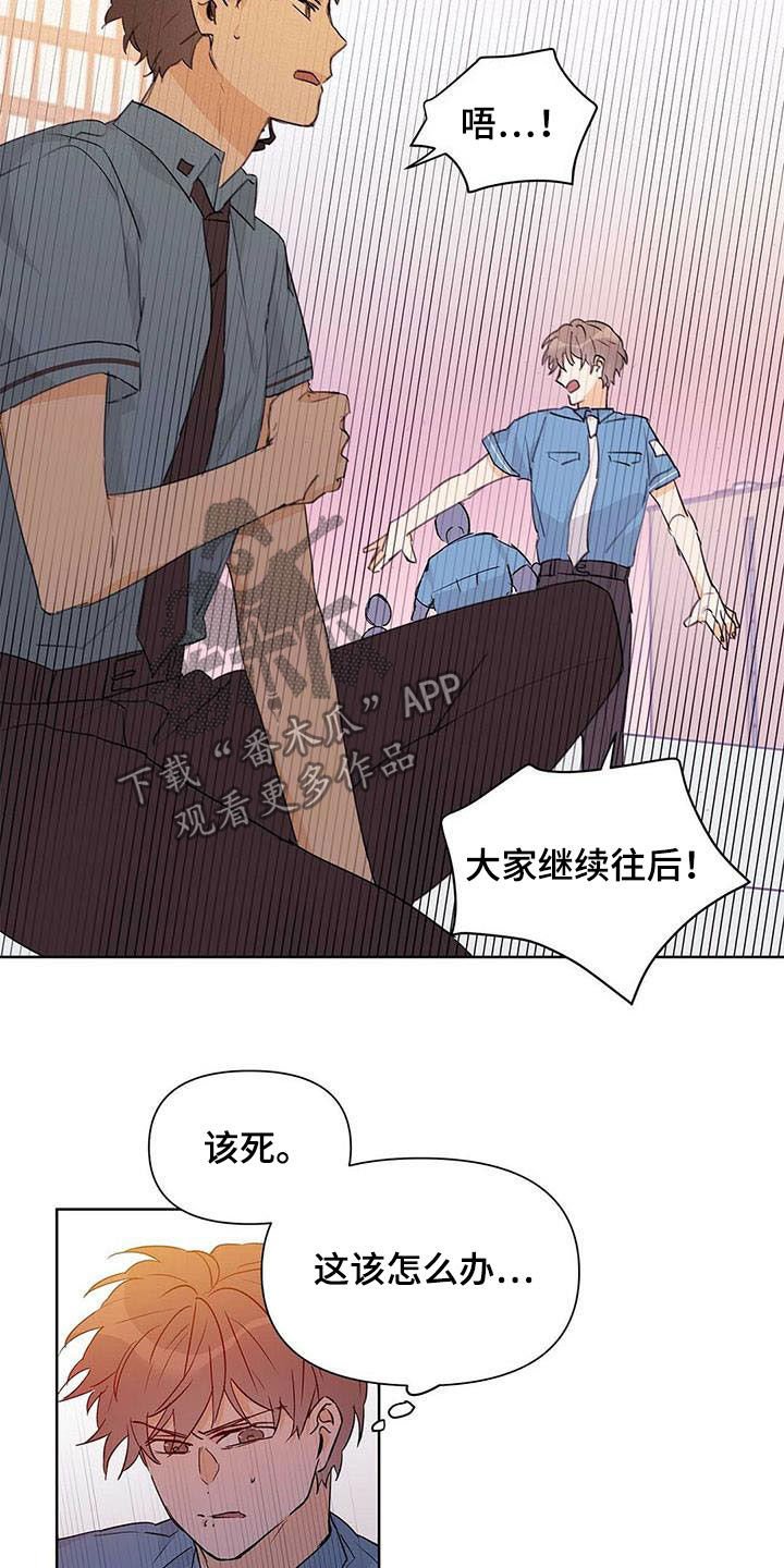 第52章：变形种