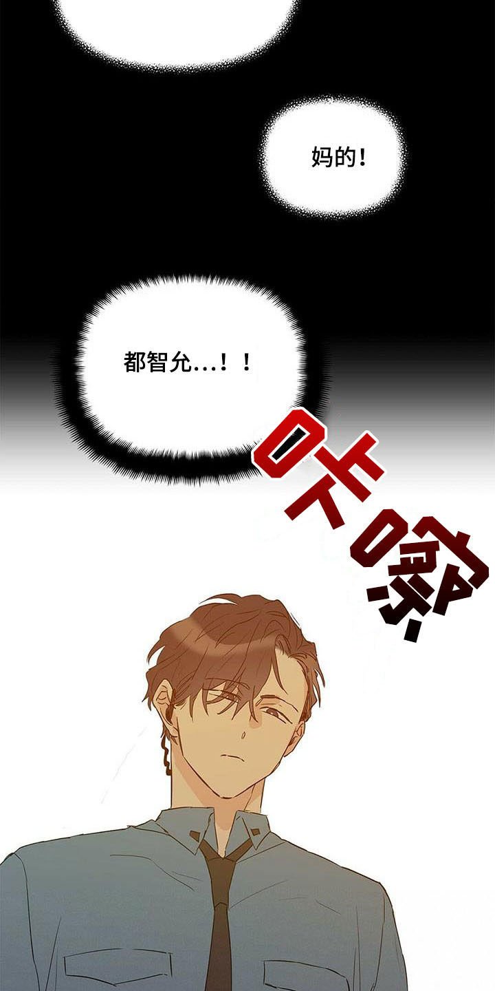 第52章：变形种