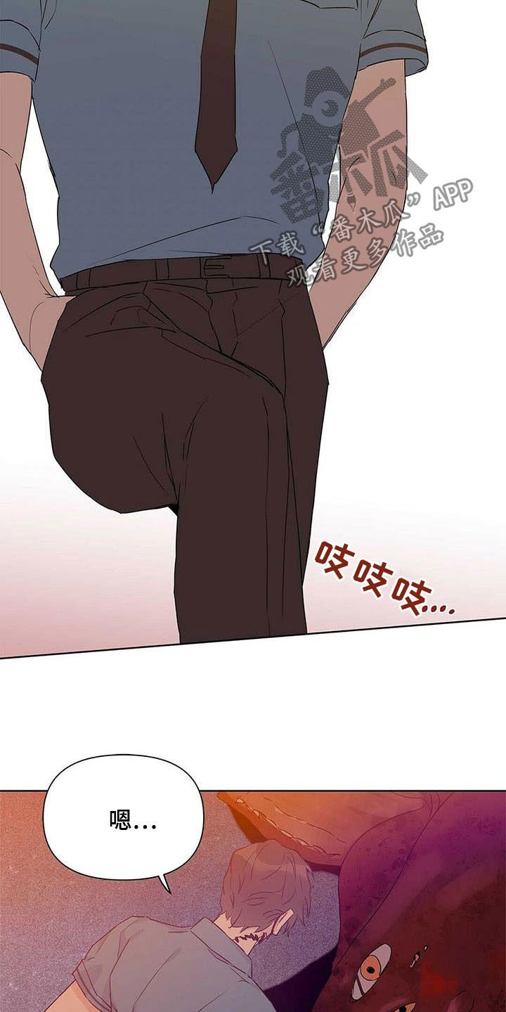 第52章：变形种