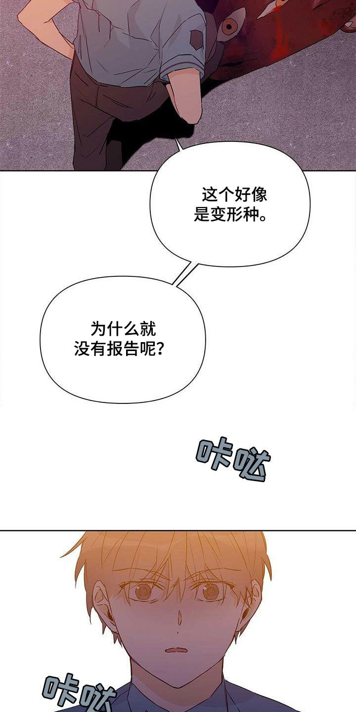 第52章：变形种