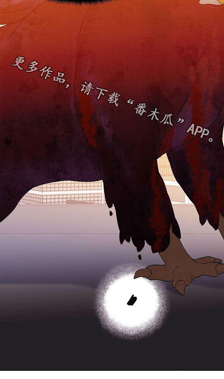 第52章：变形种