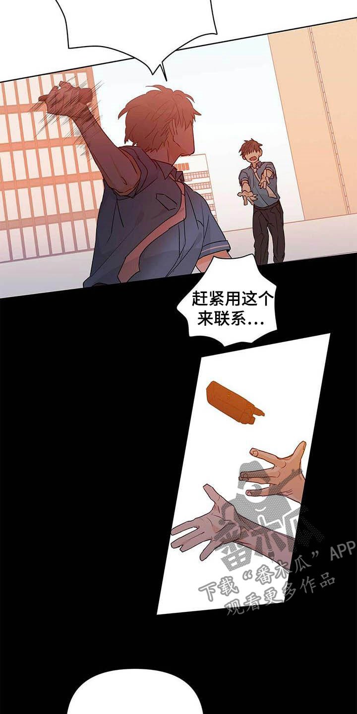 第53章：真英雄