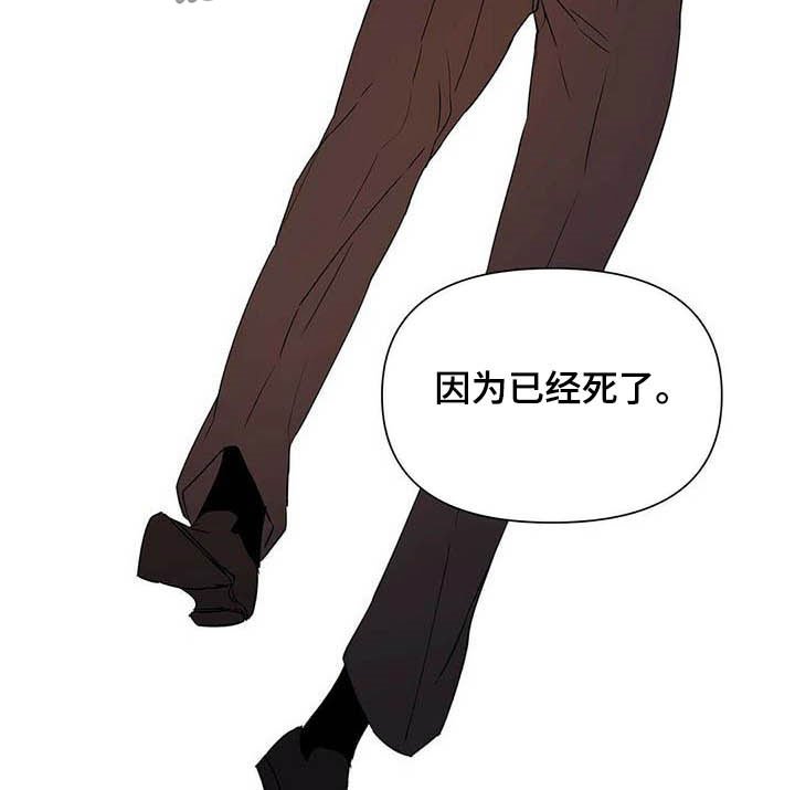 第53章：真英雄