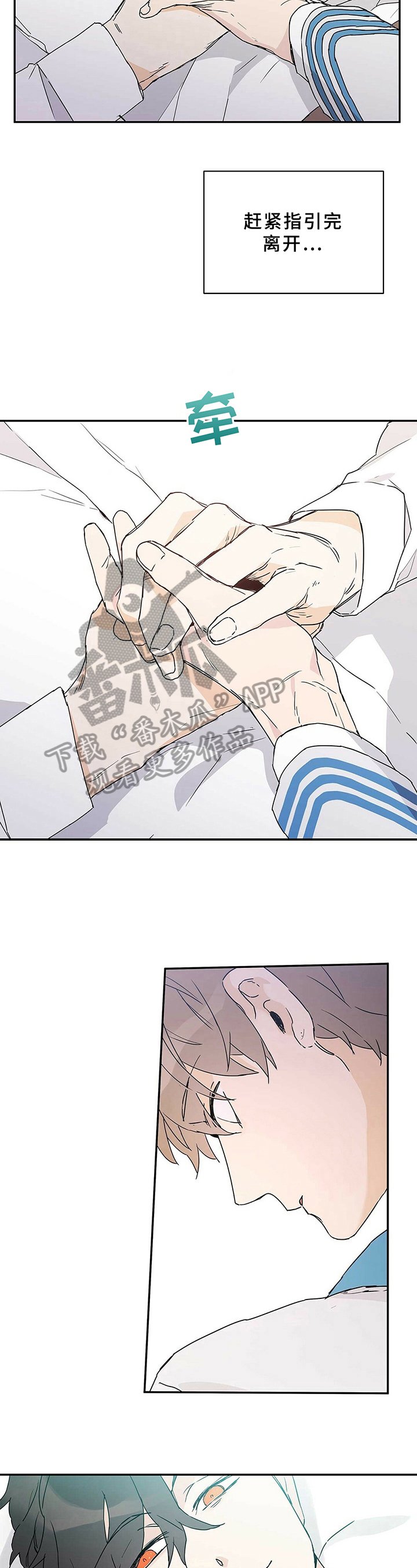 第8章：理想型