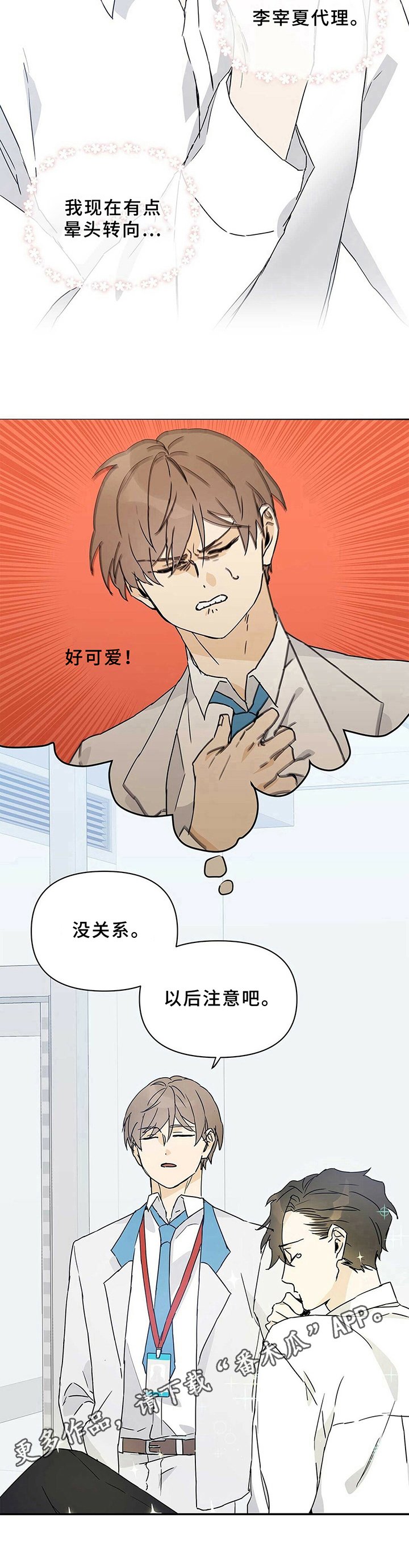第8章：理想型