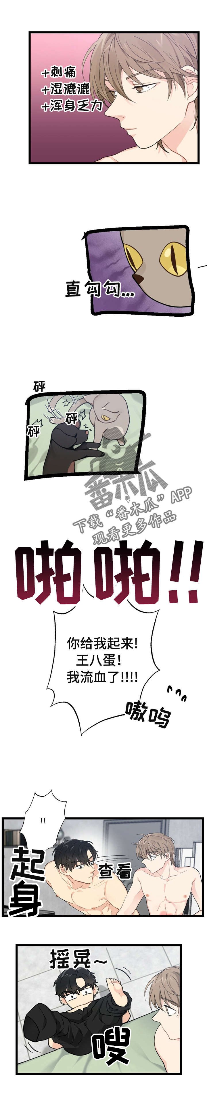 第10章：漂亮宝贝的三合会：彼得潘