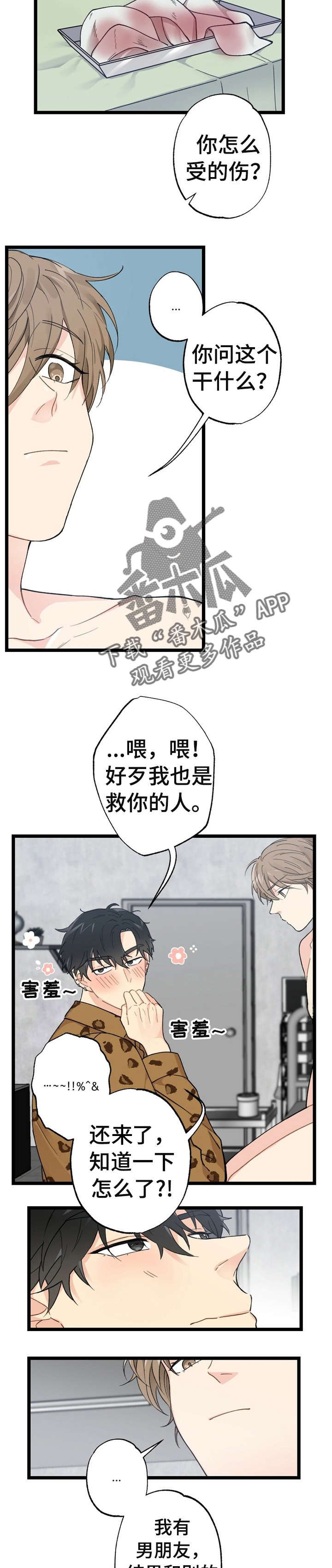 第11章：漂亮宝贝的三合会：伤口裂开