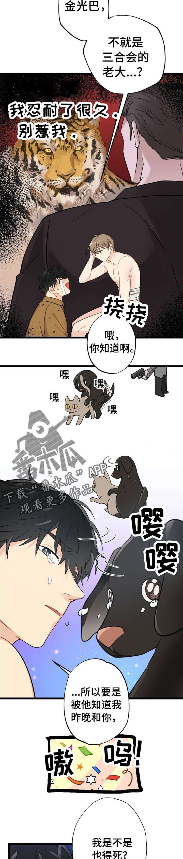 第11章：漂亮宝贝的三合会：伤口裂开