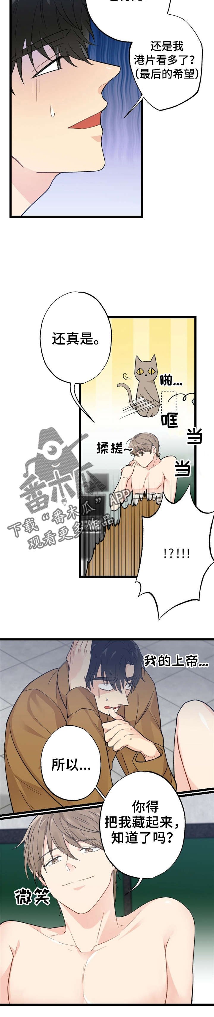 第11章：漂亮宝贝的三合会：伤口裂开