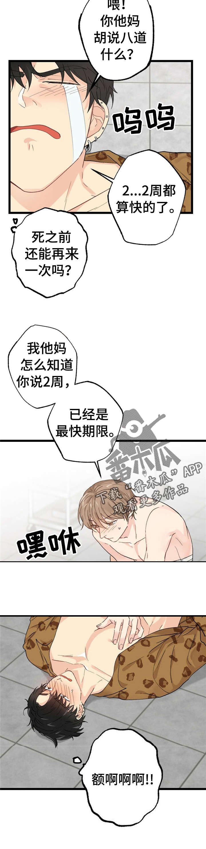 第12章：漂亮宝贝的三合会：死定了