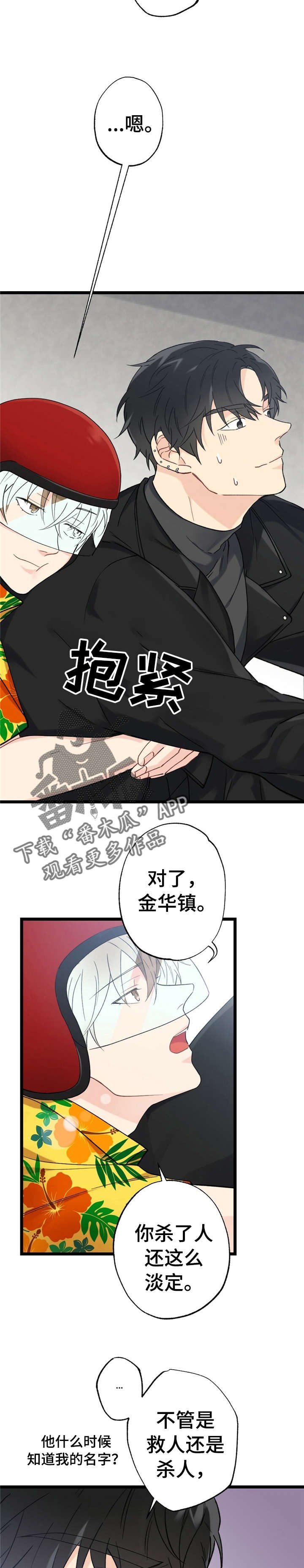 第13章：漂亮宝贝的三合会：跑路