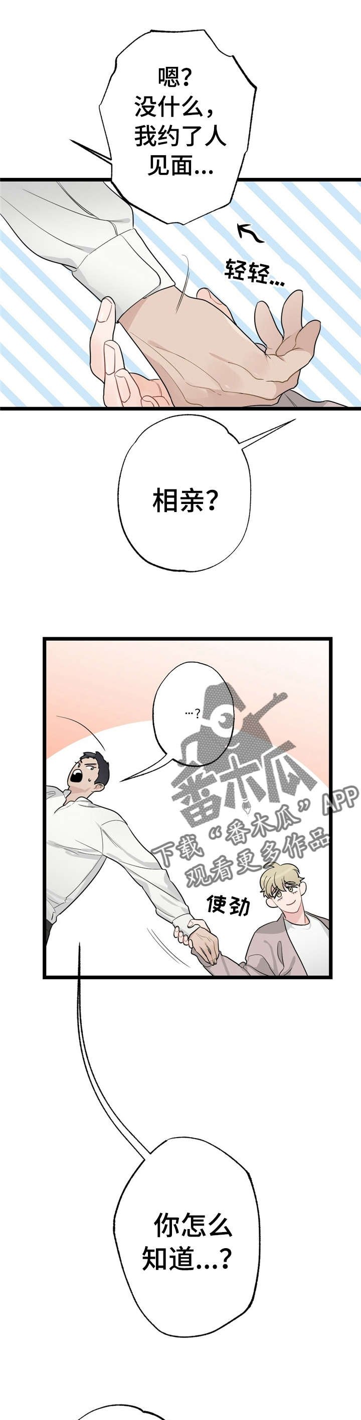 第17章：少年时代的梦境：相亲