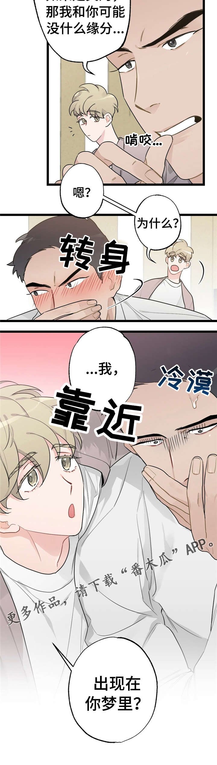 第17章：少年时代的梦境：相亲