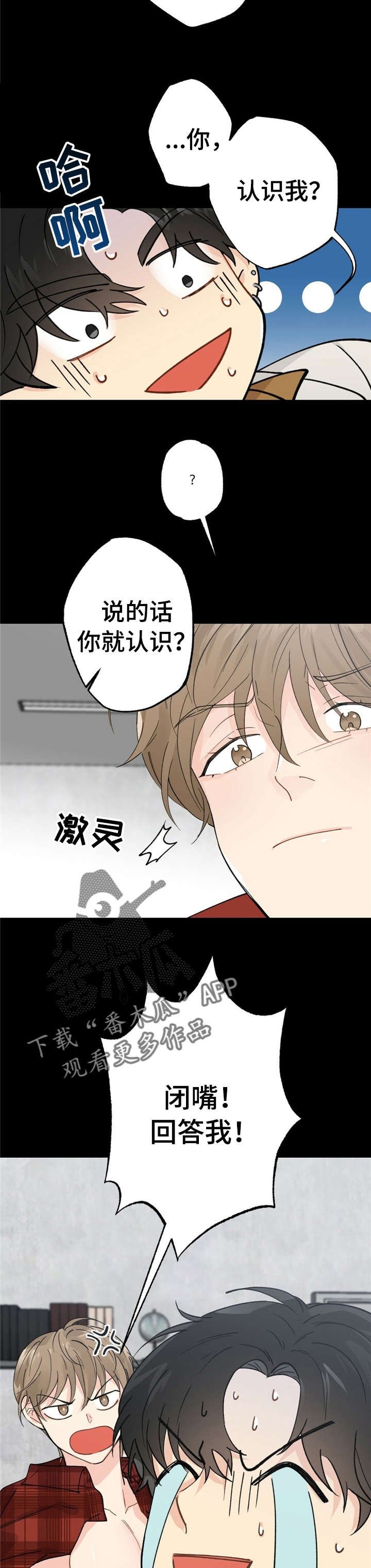 第8章：漂亮宝贝的三合会：怒吼