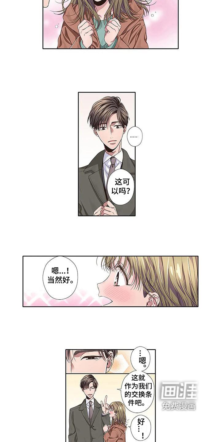 第13章：交换条件