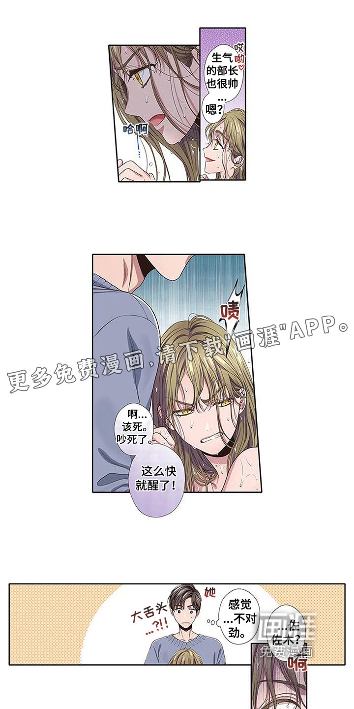 第16章：护身符