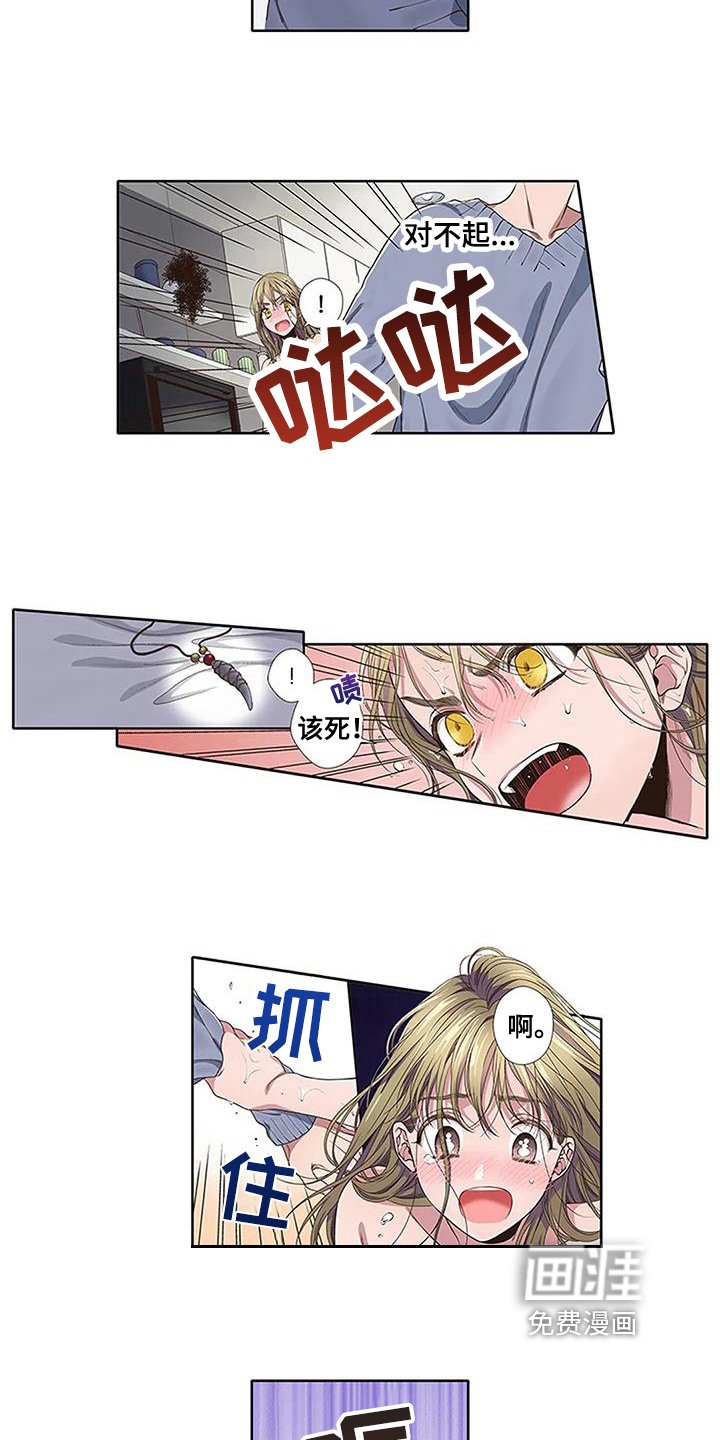第16章：护身符