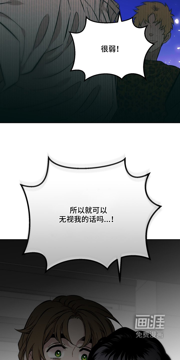 第141章：都说了不要
