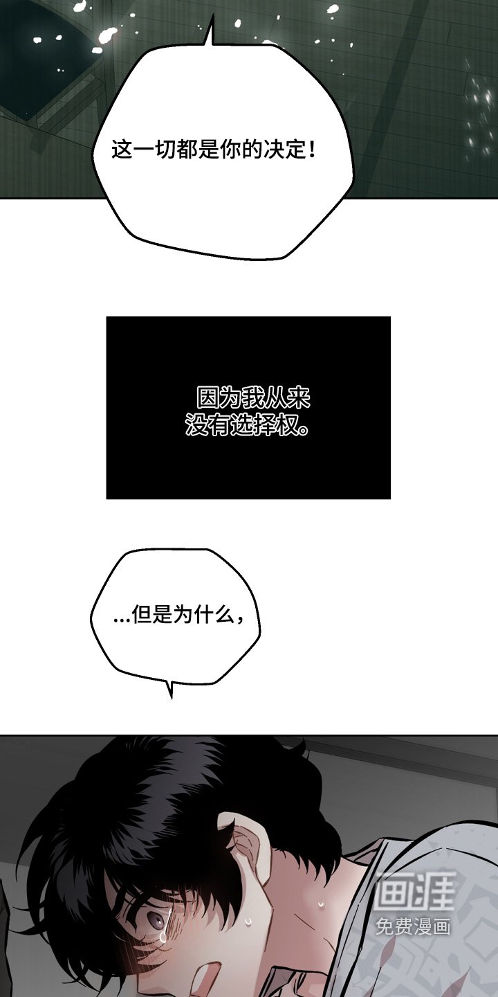 第150章：承担后果