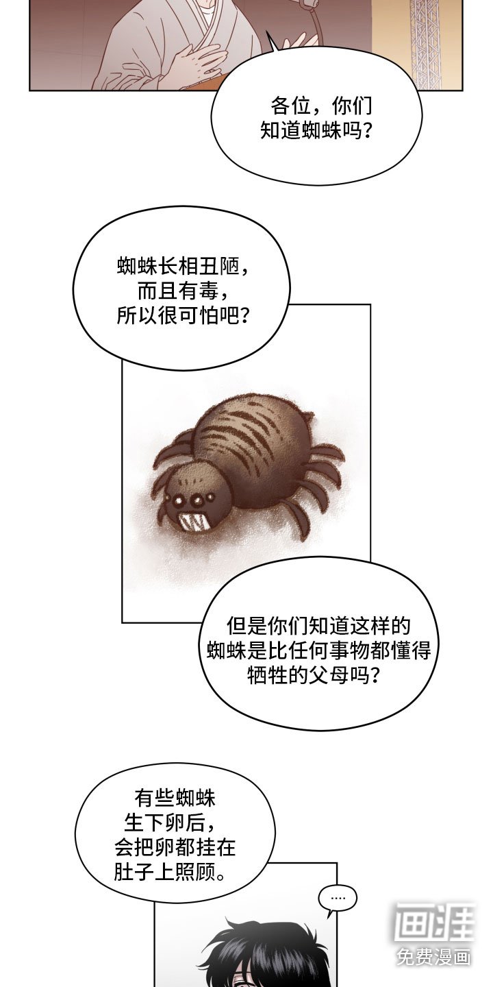 第4章：蜘蛛的故事