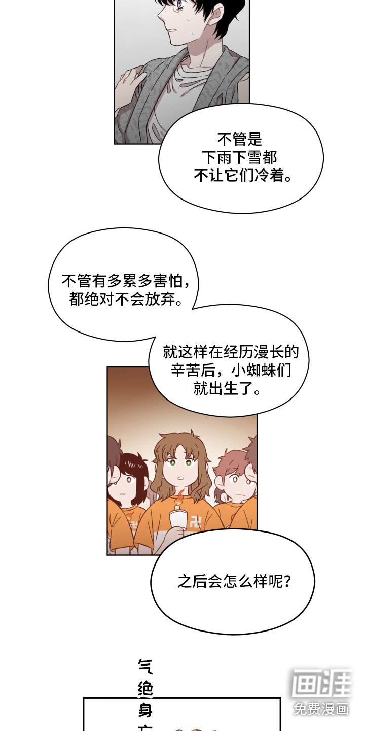 第4章：蜘蛛的故事