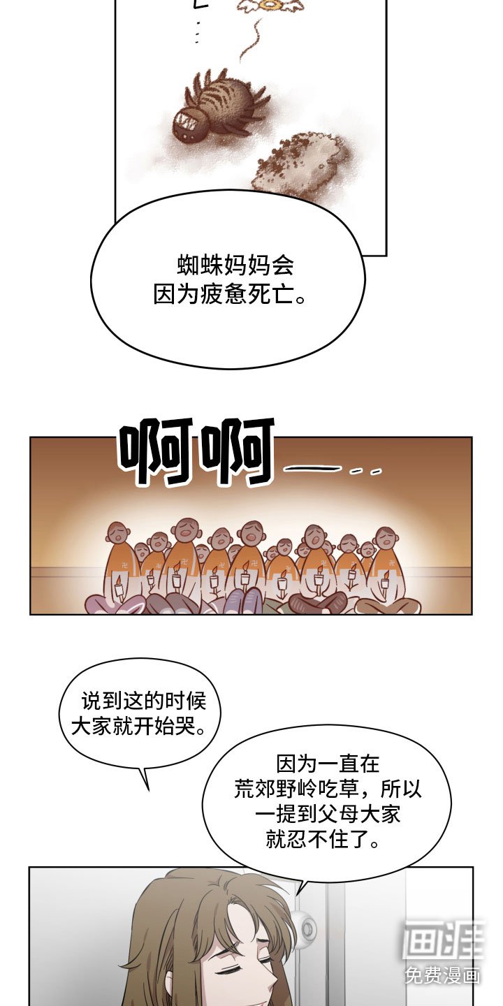 第4章：蜘蛛的故事
