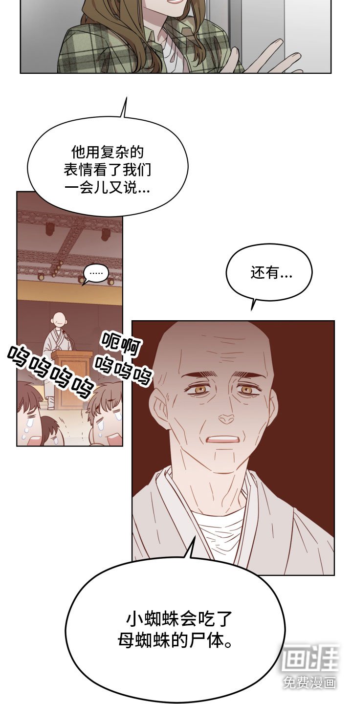 第4章：蜘蛛的故事