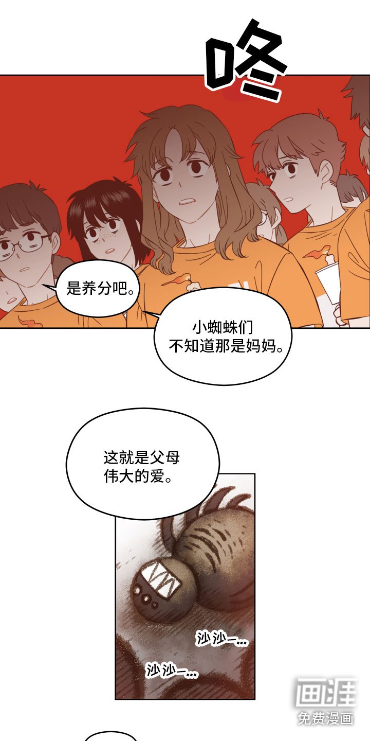 第4章：蜘蛛的故事