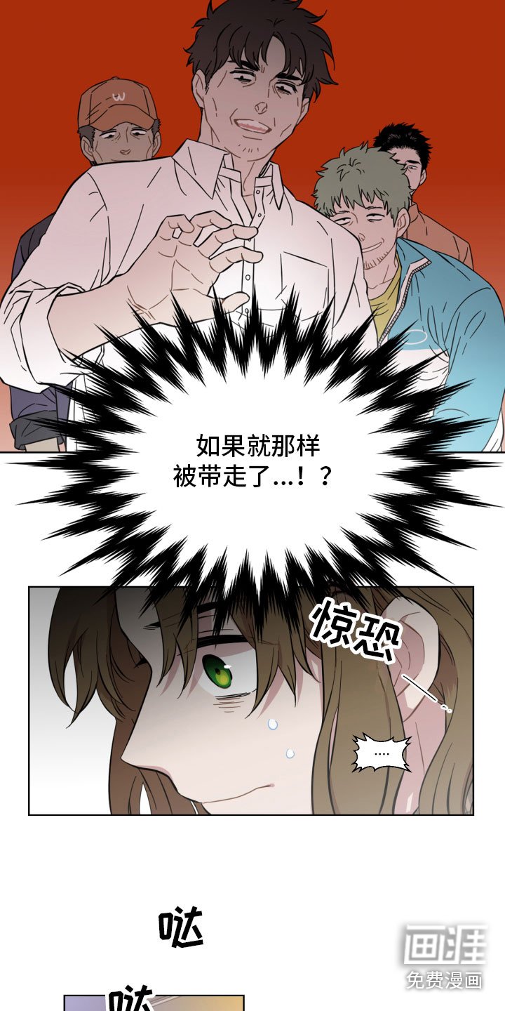 第6章：寻找