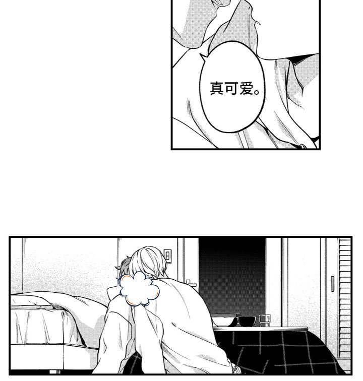 第13章：说不出口