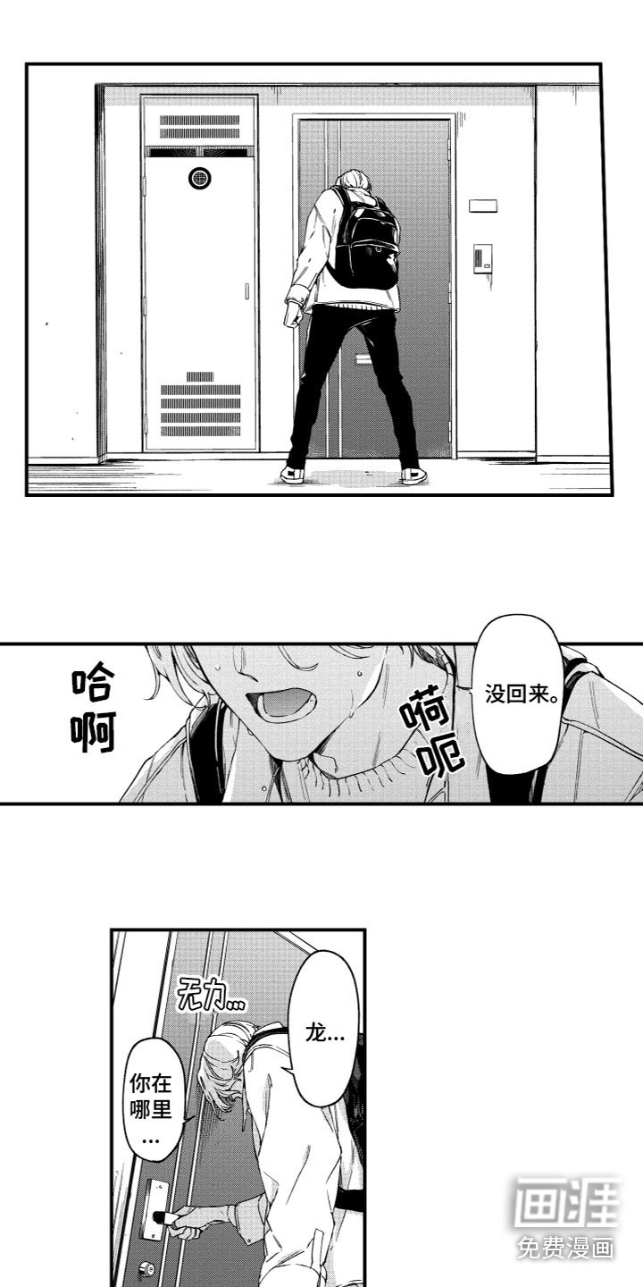 第20章：寻找