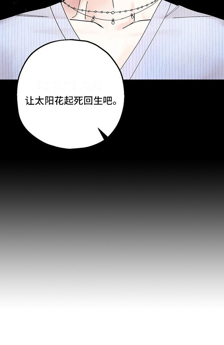 第15章：最后机会